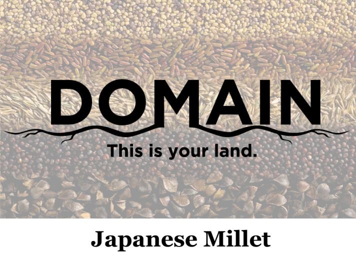 Japanese Millet - 5 Lbs. (1/4 Acre)