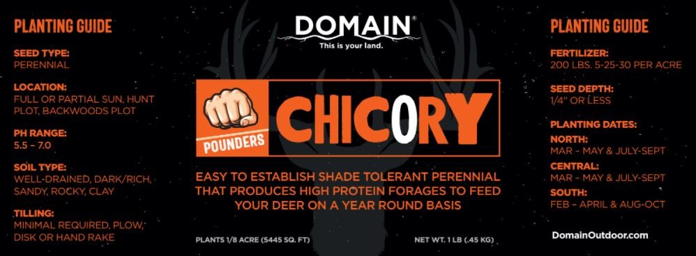 Domain Pounder - Chicory
